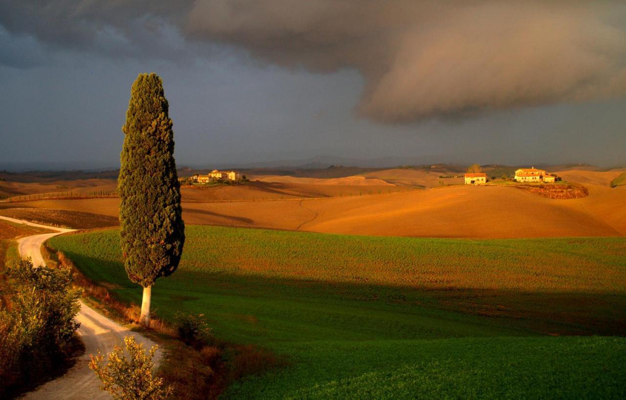 Agriturismo La Roverella Monteroni dʼArbia Buitenkant foto