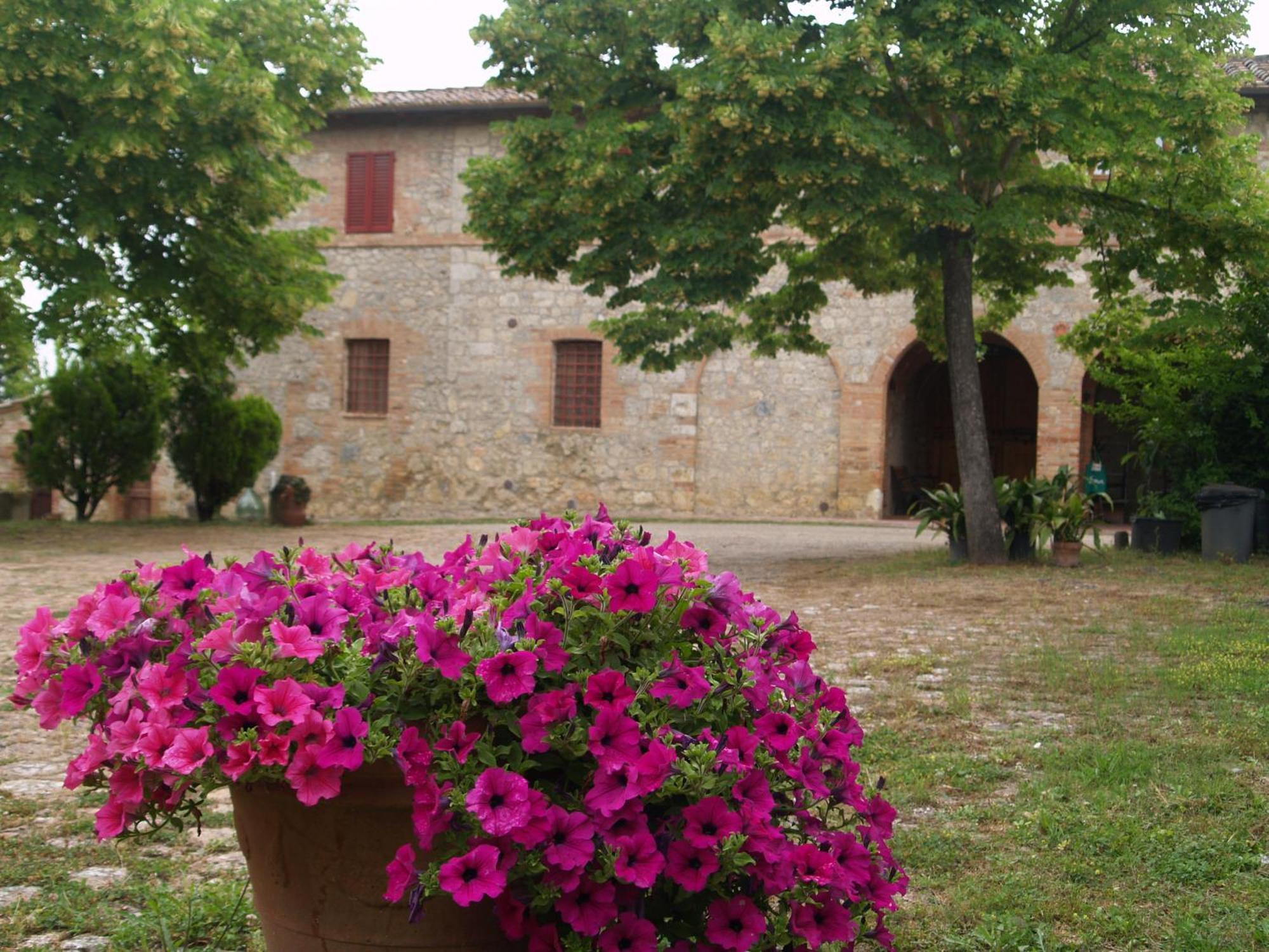 Agriturismo La Roverella Monteroni dʼArbia Kamer foto