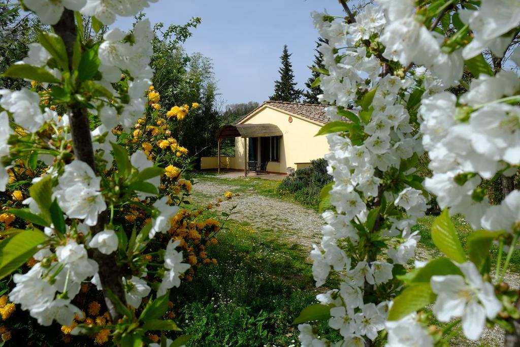 Agriturismo La Roverella Monteroni dʼArbia Buitenkant foto