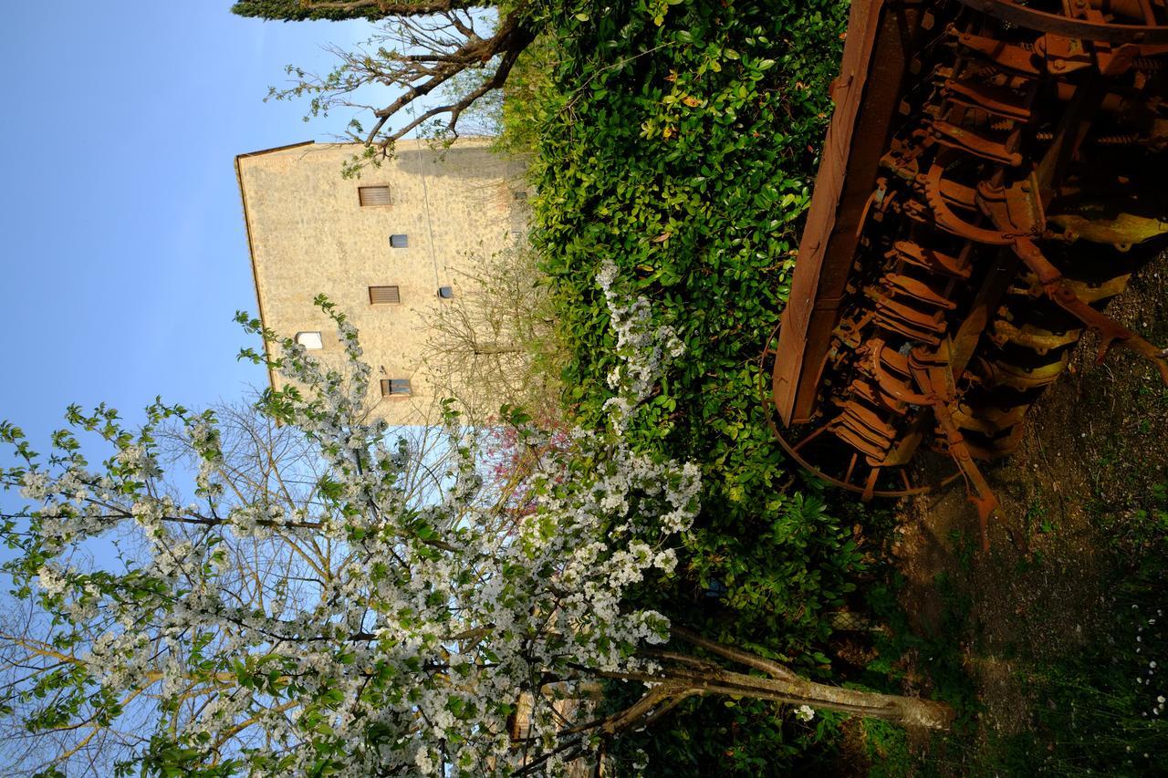 Agriturismo La Roverella Monteroni dʼArbia Buitenkant foto