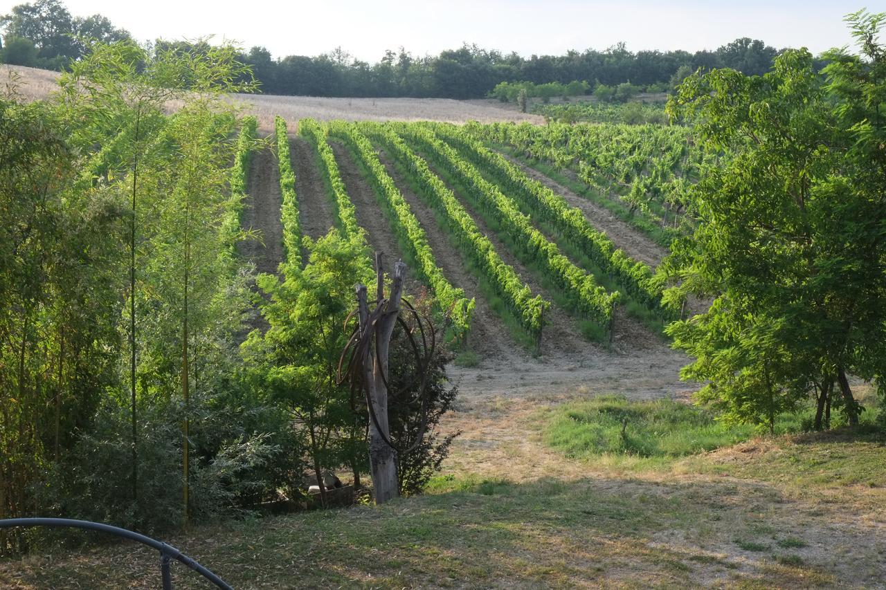 Agriturismo La Roverella Monteroni dʼArbia Buitenkant foto